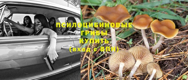 Альфа ПВП Абаза