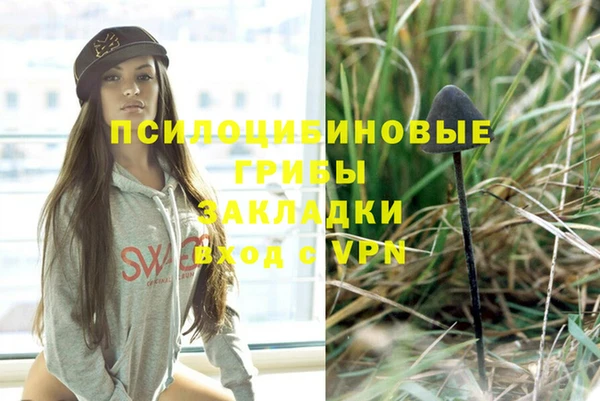 Альфа ПВП Абаза