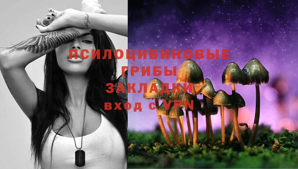 jwh Алзамай