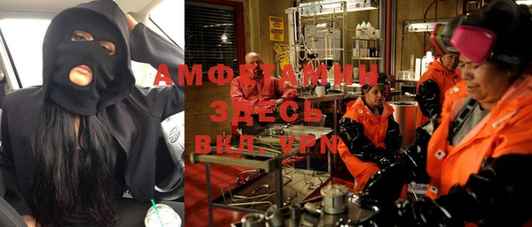 шишки Абинск