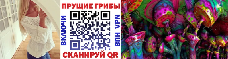 Псилоцибиновые грибы GOLDEN TEACHER закладка Богородск